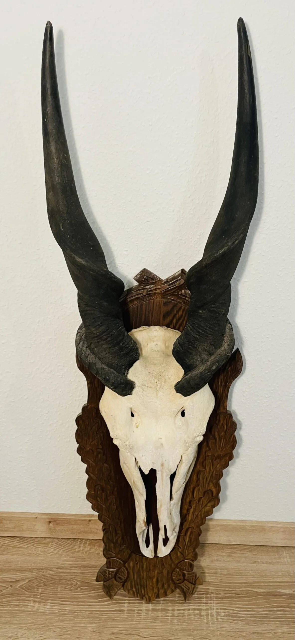 Elenantilope Trophäe Holzschild Vintage Große Ausführung – Elenantilope Trophäe – Große Vintage-Ausführung mit Holzschild, Sammlerstück aus altem Herrenhaus, Ansicht 2 von 6