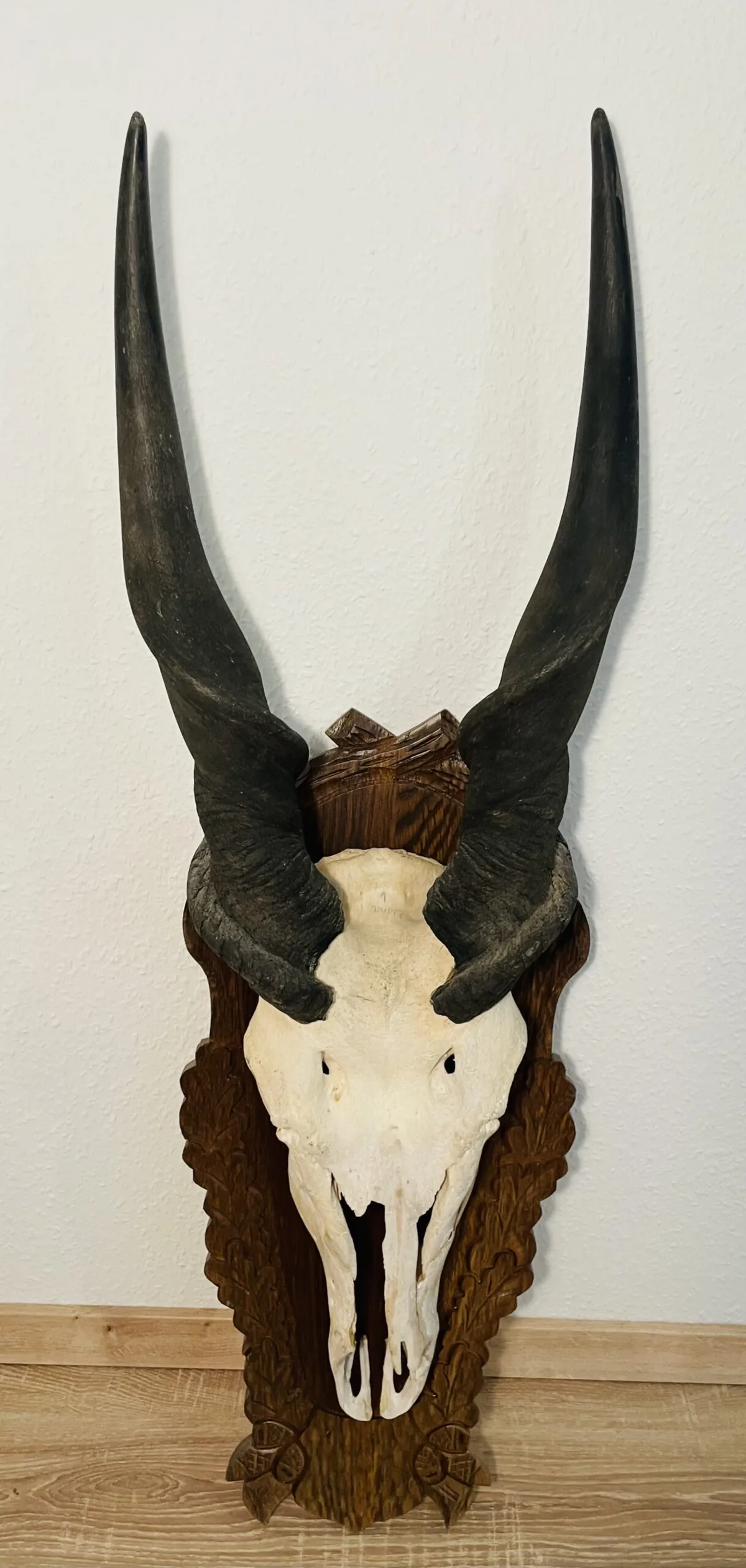Bild 2 von 5
