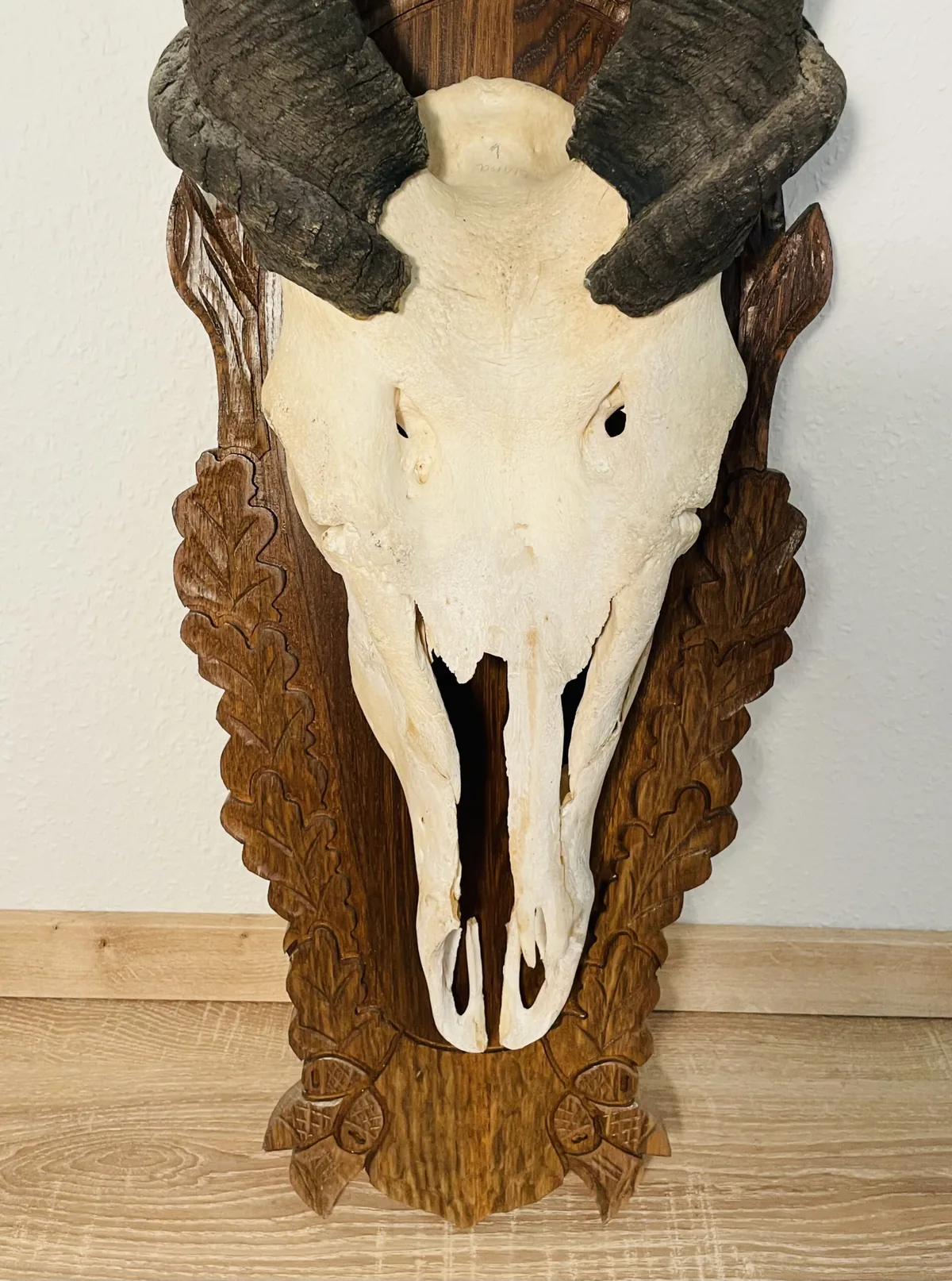 Bild 3 von 5