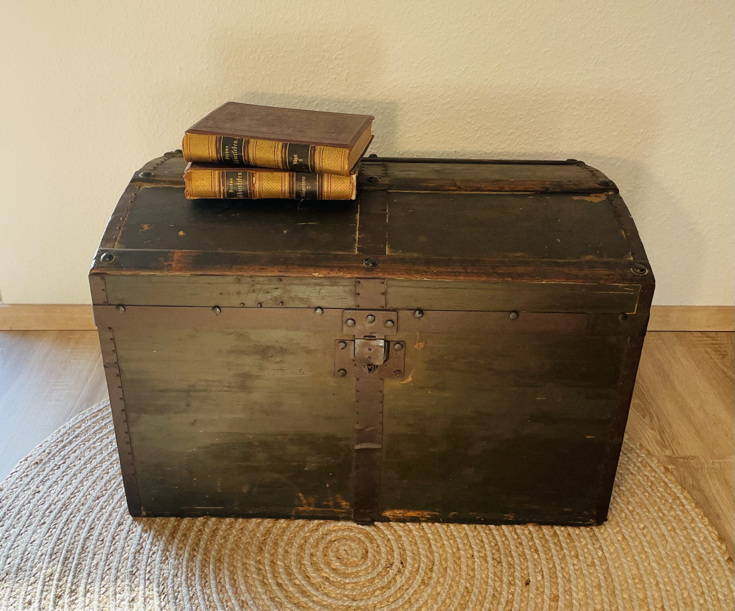 Antike Überseetruhe aus den 1890er Jahren – Truhe mit Patina, historischer Blickfang und stilvoller Aufbewahrungsort