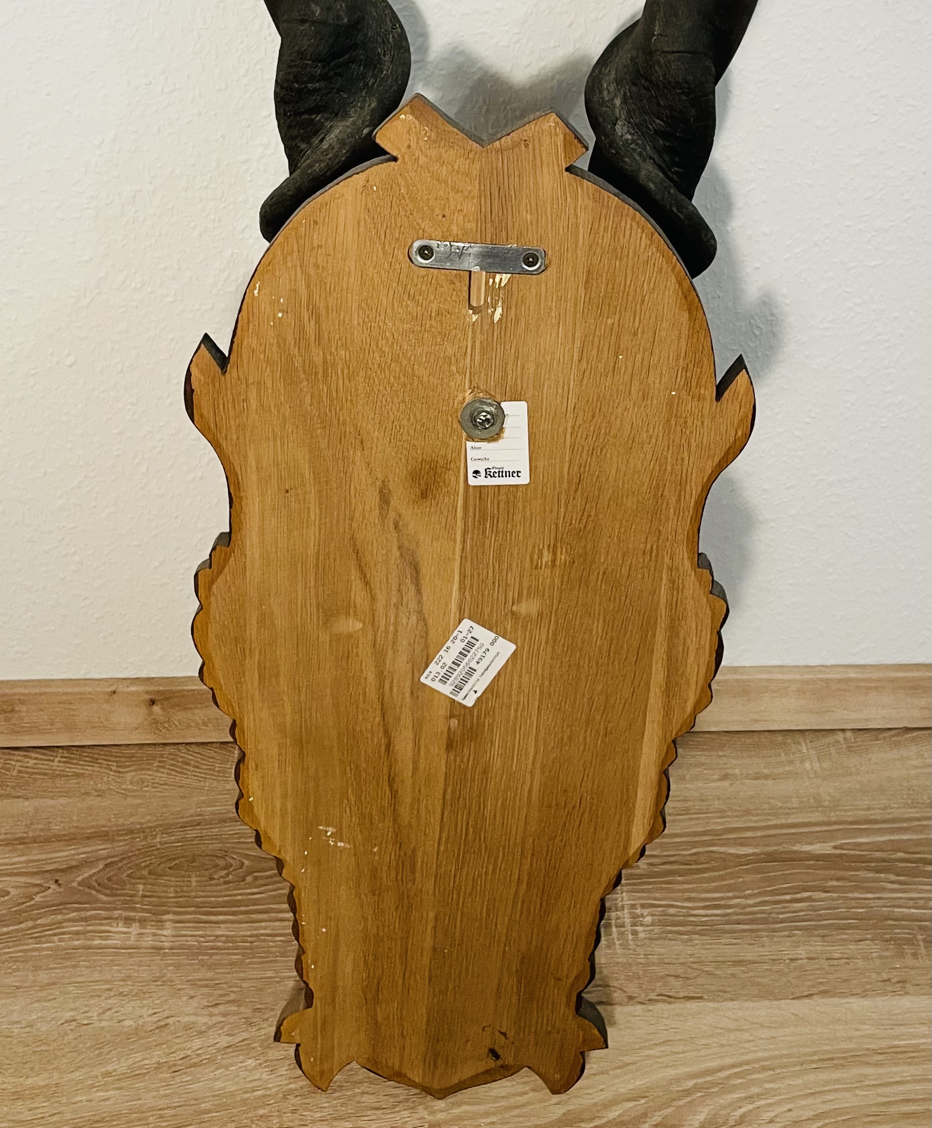 Elenantilope Trophäe – Große Vintage-Ausführung mit Holzschild, Sammlerstück aus altem Herrenhaus